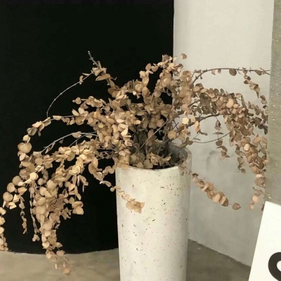 兽设复古风格设计福瑞群